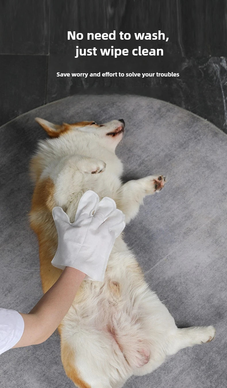 Pet Cleaning Gloves Wipes
